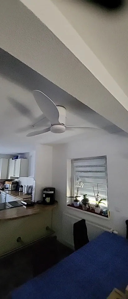 Customer photo of Brisa Nordic Ceiling Fan Light