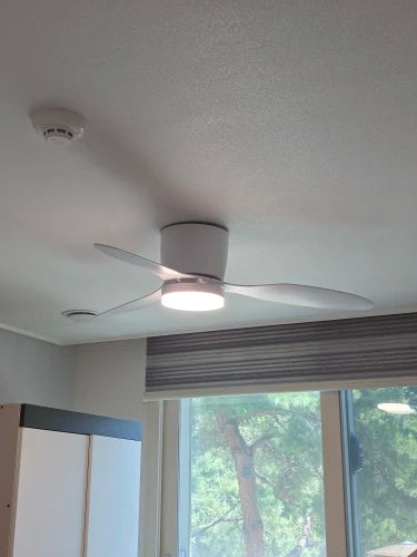 Customer photo of Brisa Nordic Ceiling Fan Light