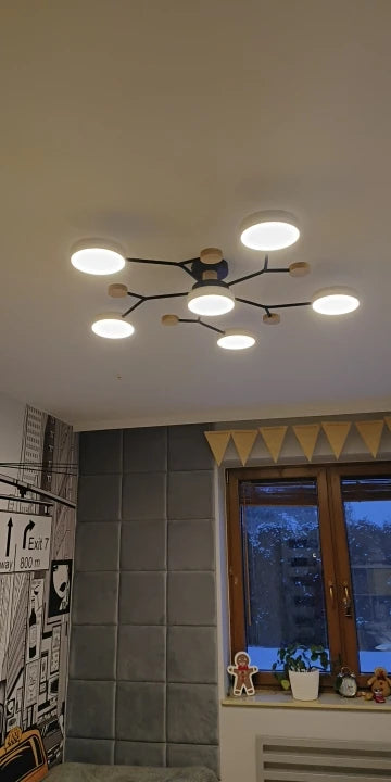 Customer photo of Orbis Circular LED Ceiling Light