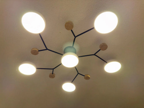 Customer photo of Orbis Circular LED Ceiling Light