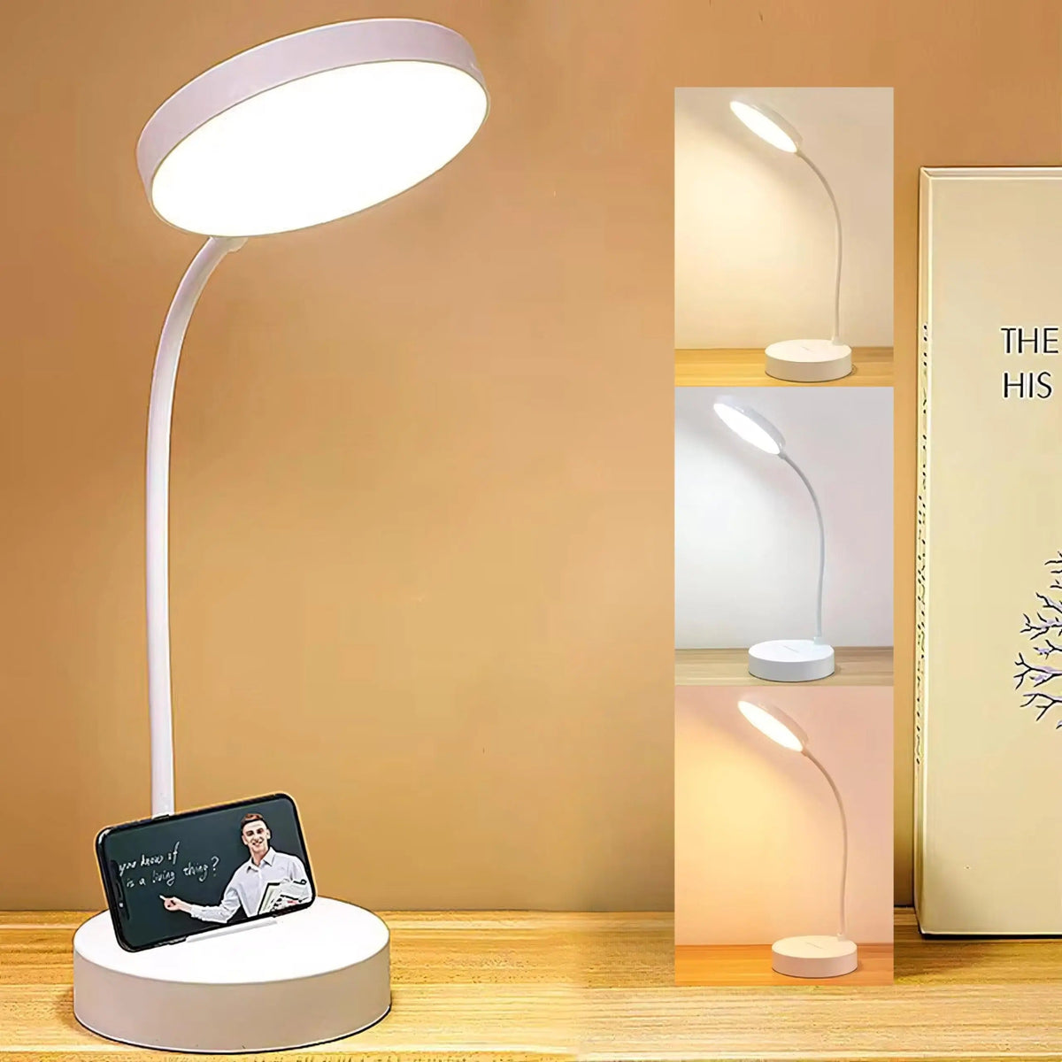 Swan Neck LED Desk Lamp with USB Rechargeable Battery