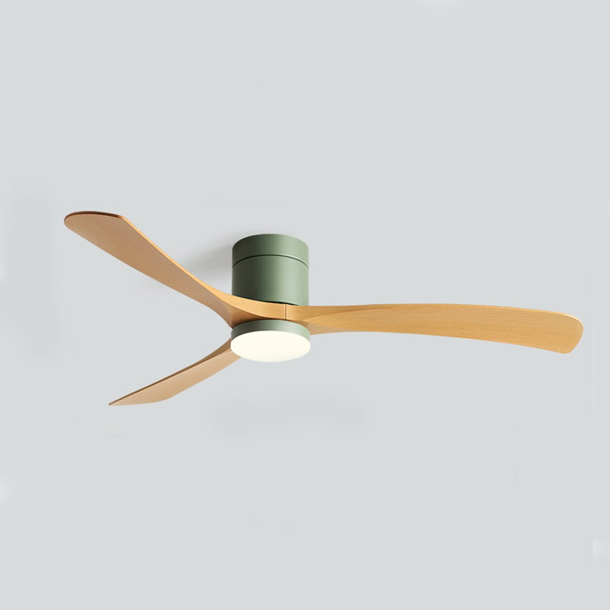 Brisa Nordic Ceiling Fan Light