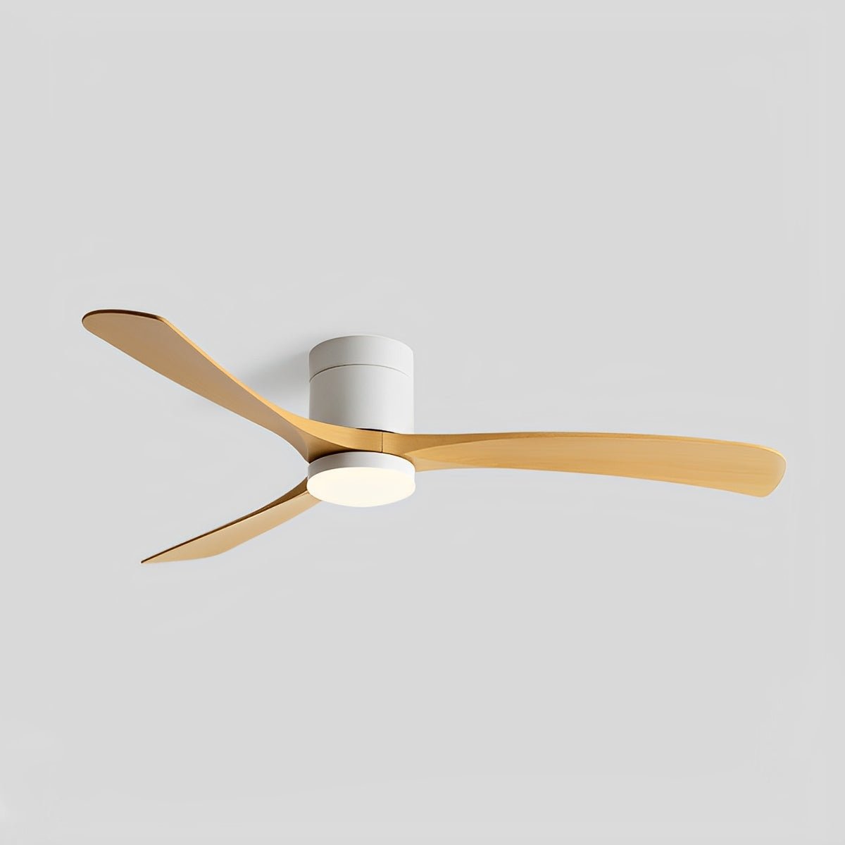 Brisa Nordic Ceiling Fan Light